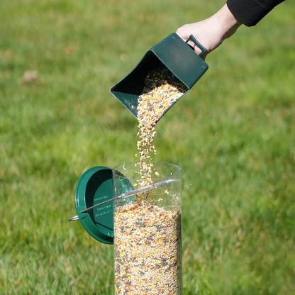 Bird Feeder | Squirrel-Proof Hanging Seed Feeder Outdoor