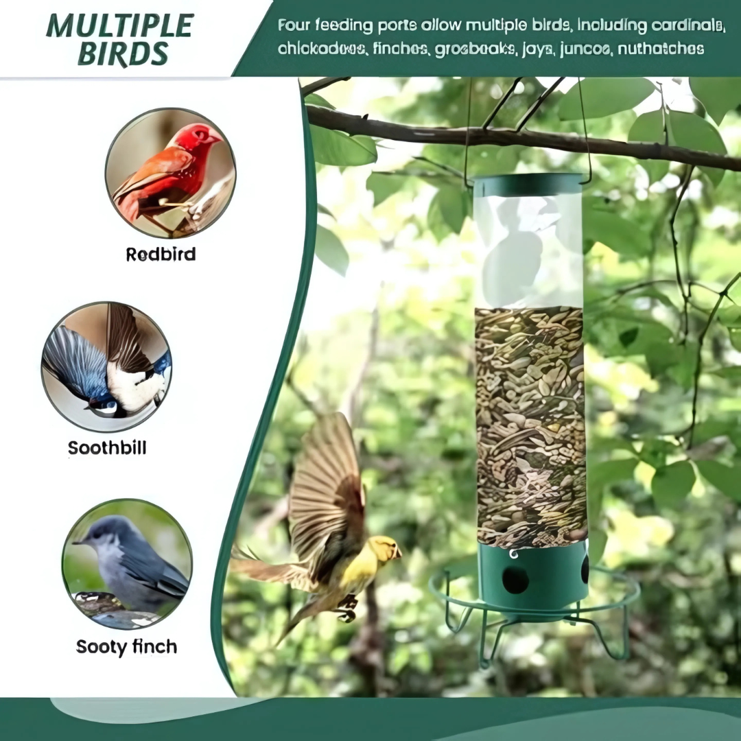 Bird Feeder | Squirrel-Proof Hanging Seed Feeder Outdoor