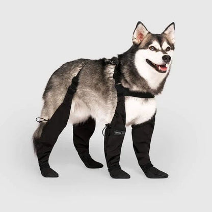 Durable Dog Boots for All Weather Protection – Waterproof Dog Shoes for Snow, Hiking, and Walking